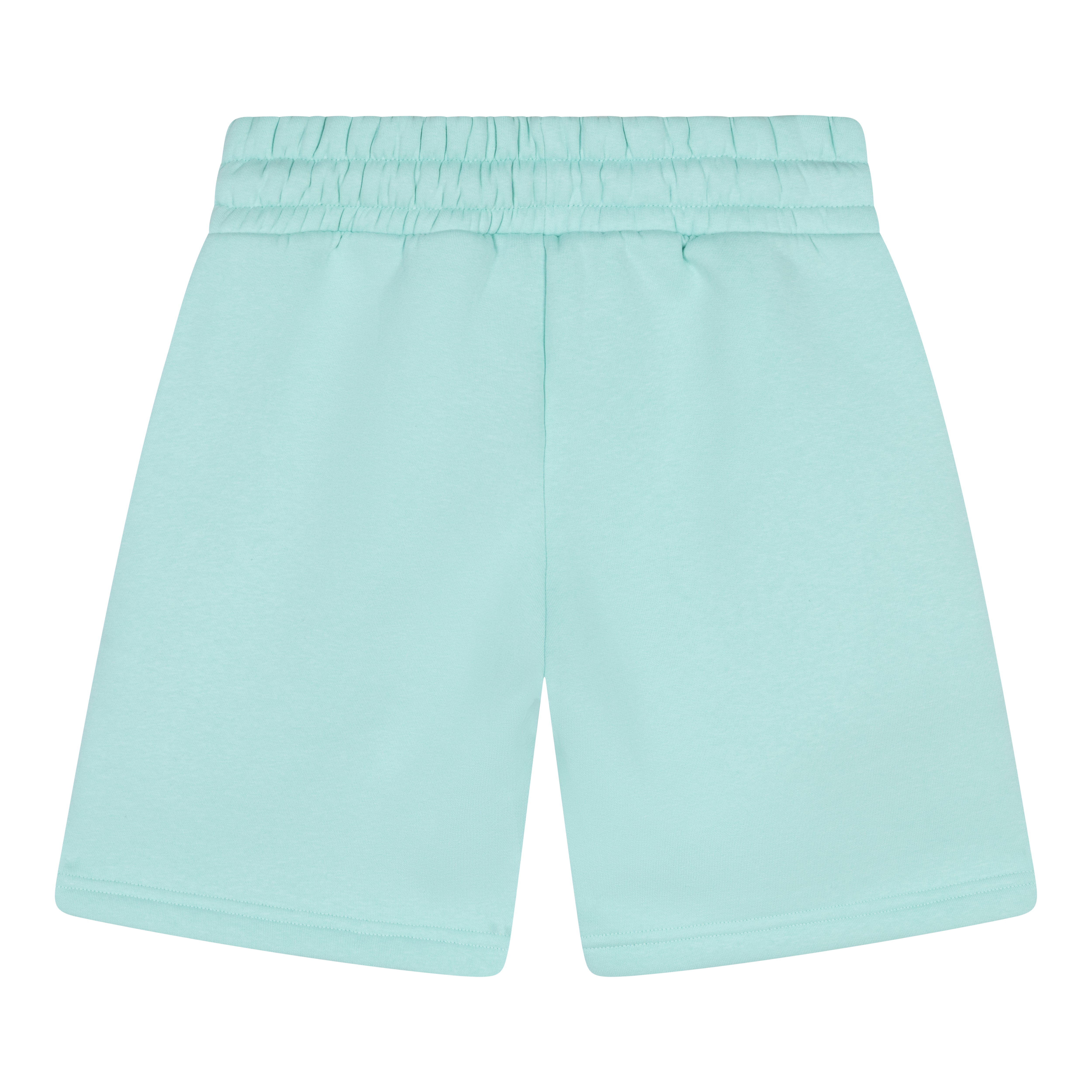 Classic Comfort Heren Shorts Mintgroen