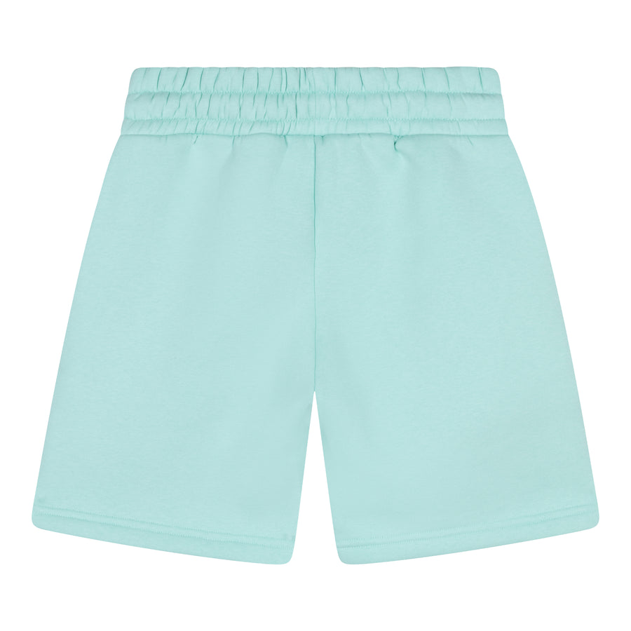 Classic Comfort Heren Shorts Mintgroen